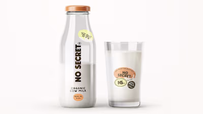 No Secret Cool: Modern Diary Brand Identity