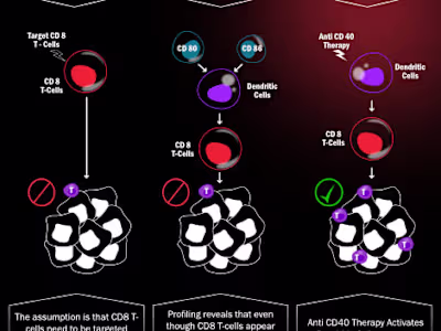 Medical/Scientific Illustrations
