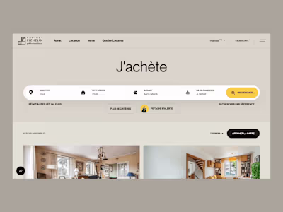 Pichelin Website design