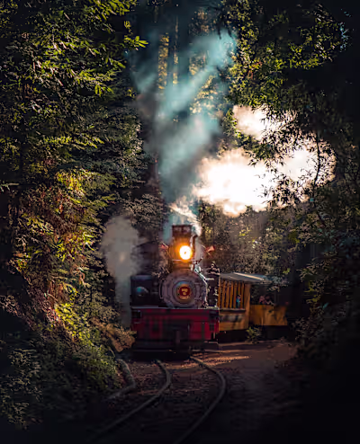 Romance: Two Strangers Meet on a Train During a Cross-Country J…