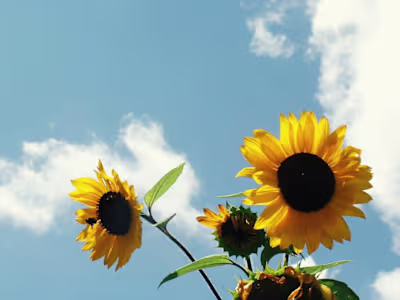 Design in a Dot: Unique Icons for Every Need