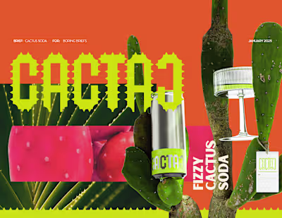 CACTAJ - Cactus Drink Visual Identity