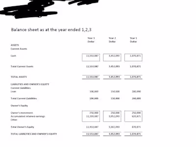 Financial Projection