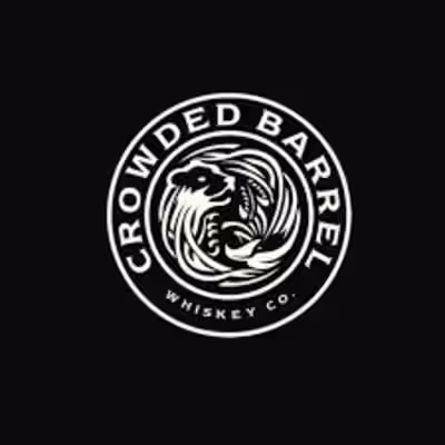 Professional Graphic Designer  