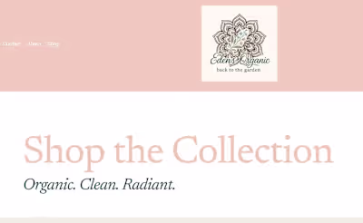 Website Design for an organic beauty product business