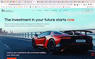 Magnus Investors