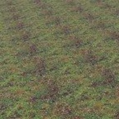 Ginebra Velarde on Instagram: “Tiny house design and animation”