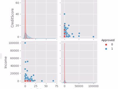 Exploring Credit Card Approval Data