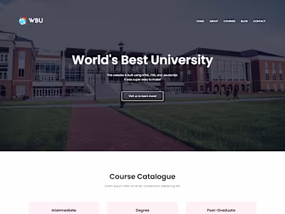 University Website