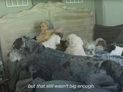 The Dodo Short Documentary