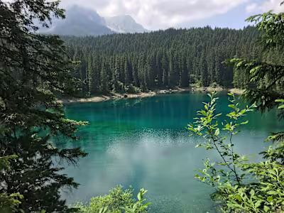 Recent example website I designed and currently manage + host