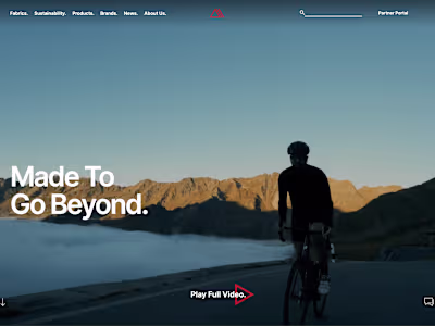 Polartec Web Design