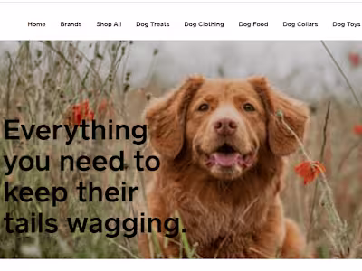 Created Website and Content