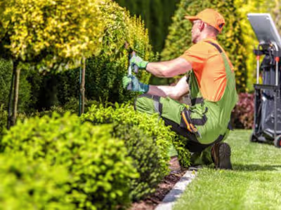Sales Page for Landscaping Business