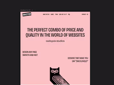 Owleyvia-Agency portfolio clone