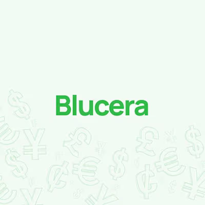 Enterprise Software Development for Blucera