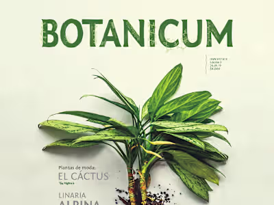Botanicum • Magazine on Behance
