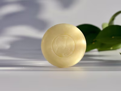 Natural Park | Portfolio