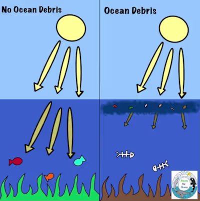 Ocean Debris Infographic