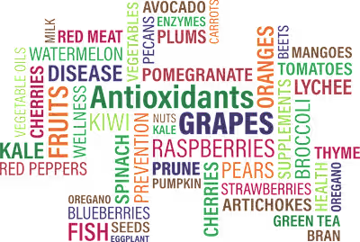 write all food science and human nutrition assignments