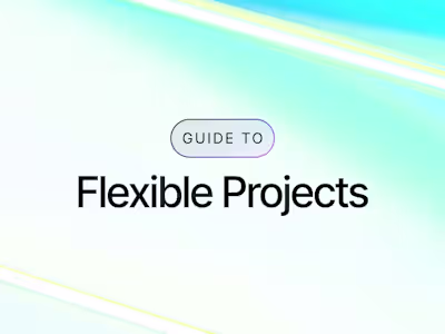 Guide to Flexible Projects