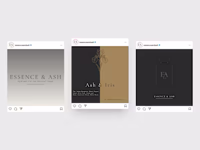 Developed a cohesive visual system including custom botanica...