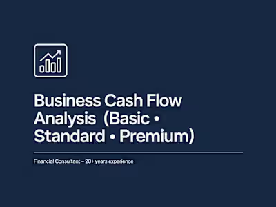 Working on a structured business cash flow analysis with mul...