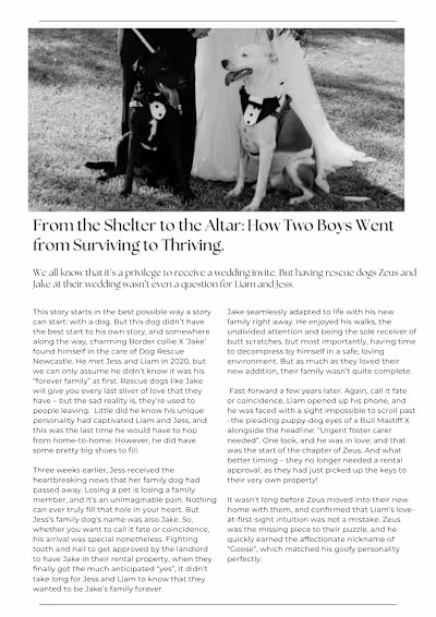 Dog Rescue Newcastle - Story 