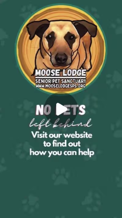Moose Lodge Senior Pet Sanctuary Reel