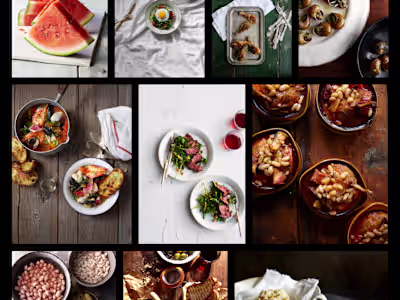  Maintenance and Support