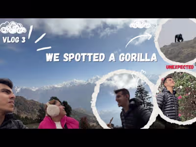 ronak vlog - YouTube