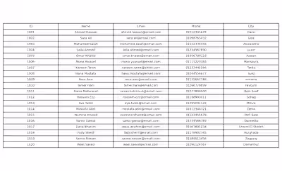 Accurate & Well-Organized Data Entry Sheet