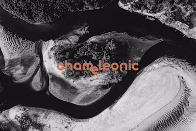 Chameleonic