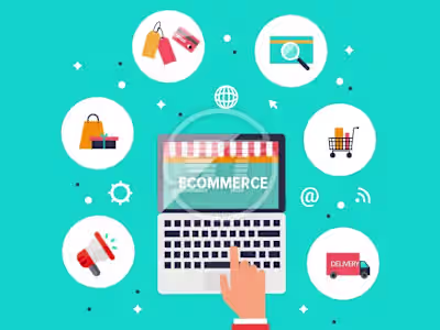 E-commerce Expansion Strategy and Implementation