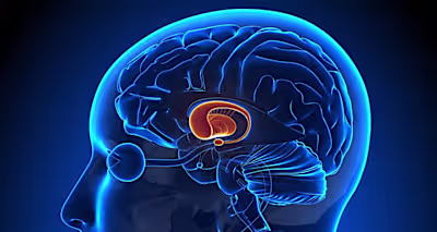 Parkinson’s Disease: Causes, Symptoms, and Stages