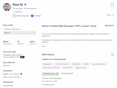 Upwork Top Rated Plus Portfolio
