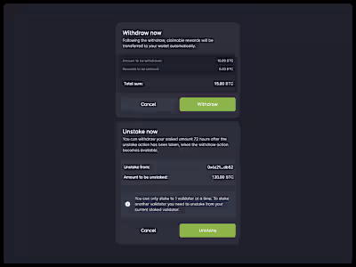 During the Blockchain explorer design process, we worked on ...