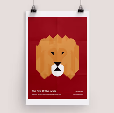 The Shape Safari