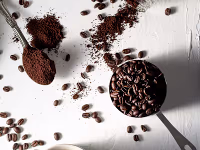 Brand Packaging Design Brief