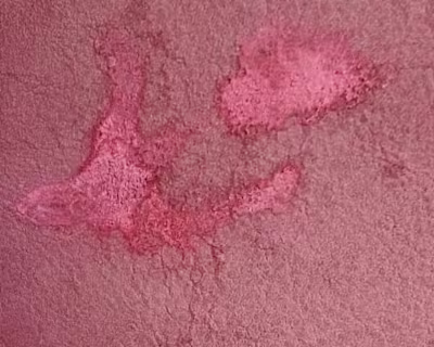 Defect Leather Detection