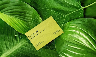 Ecoground: A Brand Identity for Sustainable Living