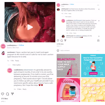 Coddle - Social Media Manager