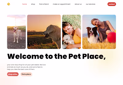 Website Design for The Pet Place