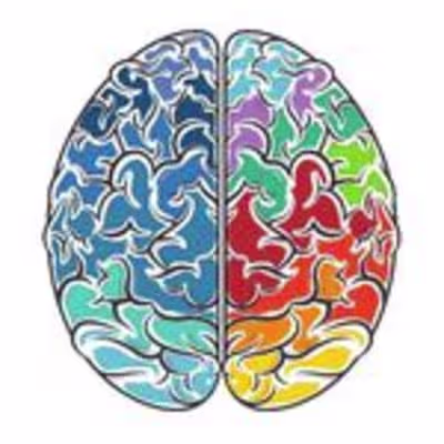 Instagram Manager: Mental Health Society Victoria  