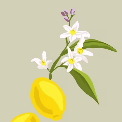 "Le Citron" Illustration and Pattern