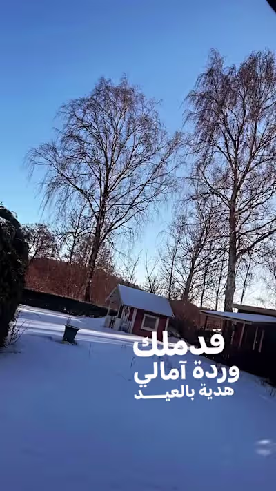 TikTok - Make Your Day
