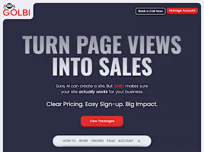 Conversion-focused website for a web