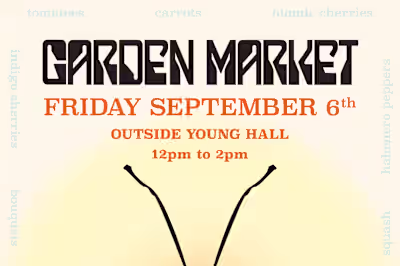 Sample Poster Design