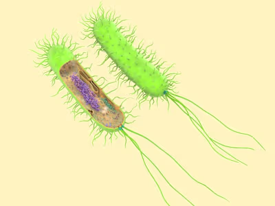 Prokaryotic Cells: The Building Blocks of Life