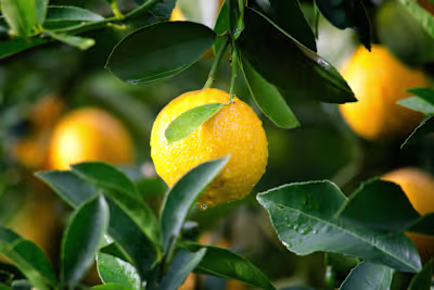 Eco-Friendly Beauty Product Transition: A Guide to Sustainable …